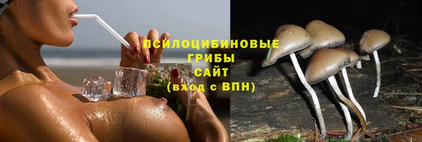 стаф Верхний Тагил