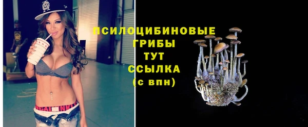 стаф Верхний Тагил