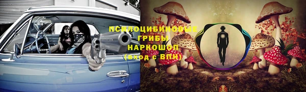 стаф Верхний Тагил